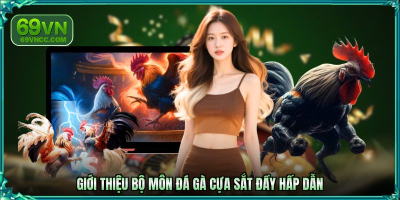 Giới thiệu bộ môn đá gà cựa sắt đầy hấp dẫn